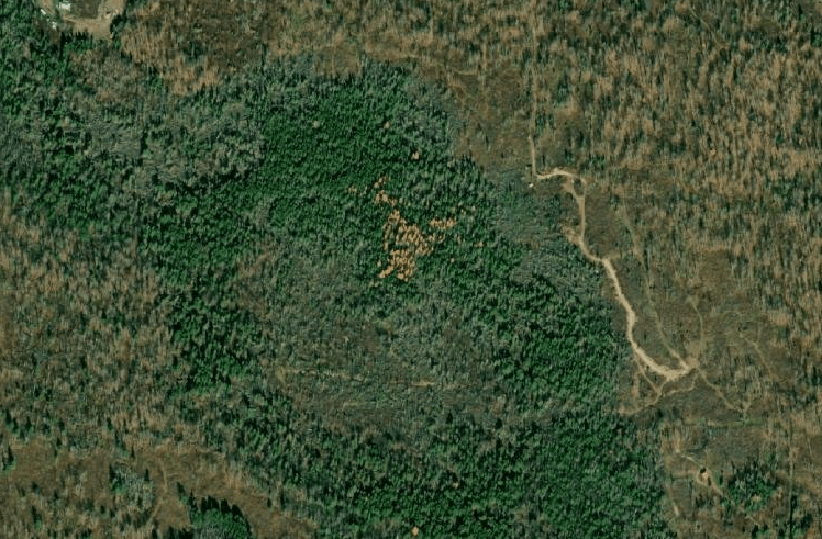 satellite image of northern WI showing different tree colors