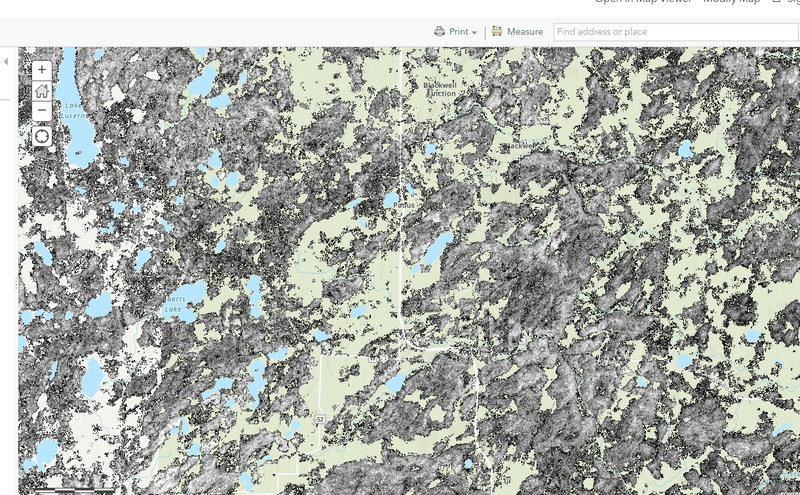 tree species metrics density map for sugar maples in northern Wisconsin