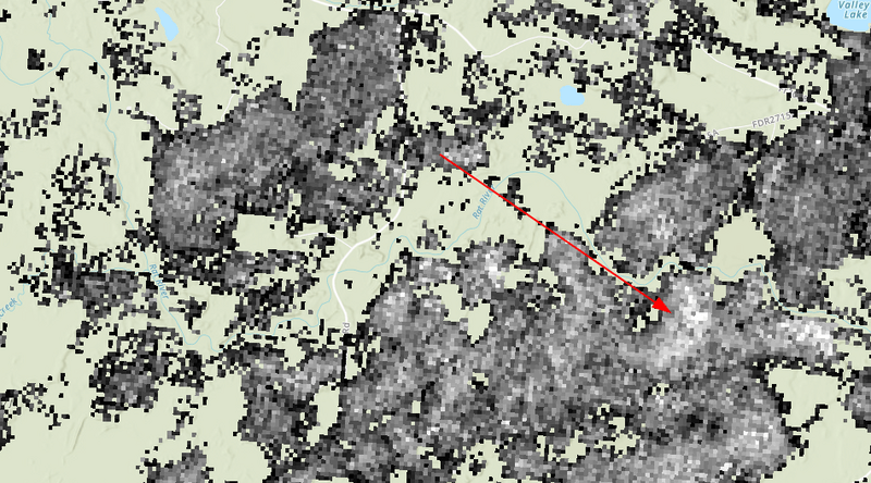 sugar maple density map zoomed in